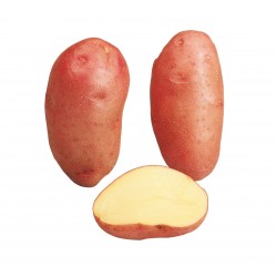 SAC 3 KG POMME DE TERRE...