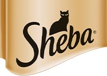 SHEBA