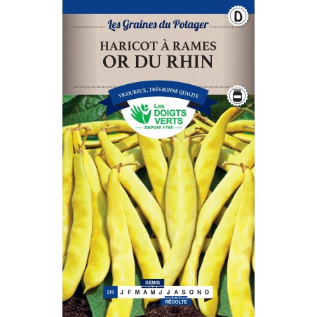 HARICOT RAME OR DU RHIN MV 250GR CATD HARICOT RAME OR DU RHIN MV 250GR CATD