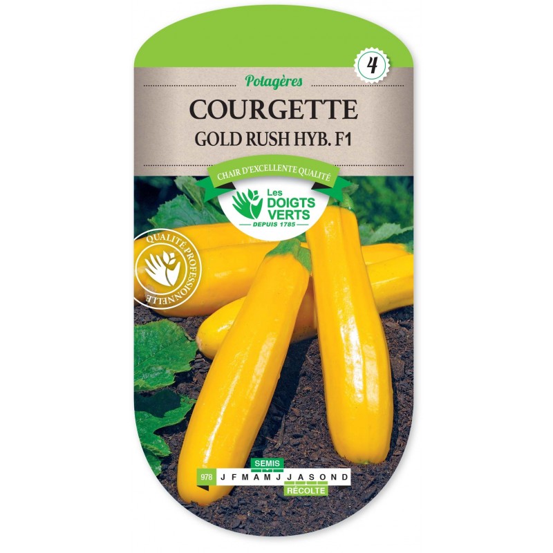 COURGETTE GOLD RUSCH HYB.F1