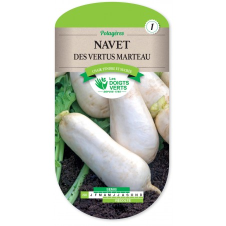 NAVET DES VERTUS MARTEAU 293 RÉCOLTE cat1 NAVET DES VERTUS MARTEAU 293 RÉCOLTE cat1