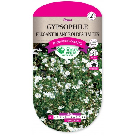 GYPSOPHILE ELEGANT BLANC ROI DES HALLES CAT2