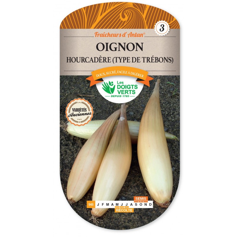 OIGNONS HOURCADERE (TYPE DE TREBONS) CAT3