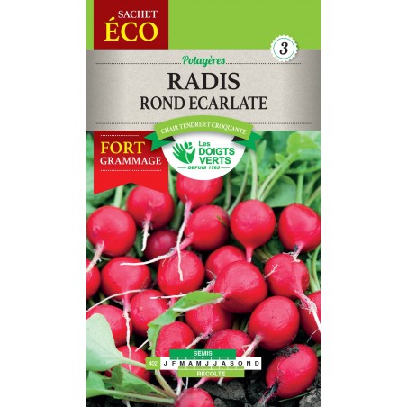 RADIS ROND ECARLATE CAT3 RADIS ROND ECARLATE CAT3