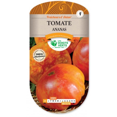 TOMATE ANANAS CAT4 TOMATE ANANAS CAT4