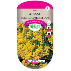 ALYSSE SAXATILE CORBEILLE D OR cat2