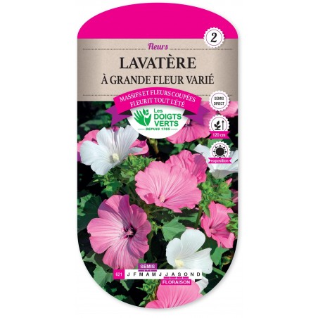 LAVATERE A GRANDE FLEUR VARIE cat2 LAVATERE A GRANDE FLEUR VARIE cat2