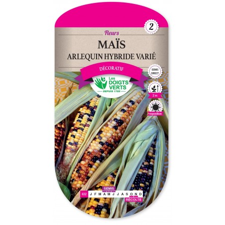 MAIS ARLEQUIN HYBRIDE VARIE cat2 MAIS ARLEQUIN HYBRIDE VARIE cat2