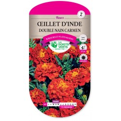 OEILLET D'INDE DOUBLE NAIN CARMEN