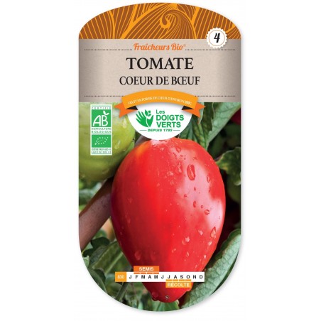 TOMATE COEUR DE BOEUF cat4 TOMATE COEUR DE BOEUF cat4