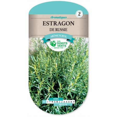 ESTRAGON DE RUSSIE cat2 ESTRAGON DE RUSSIE cat2