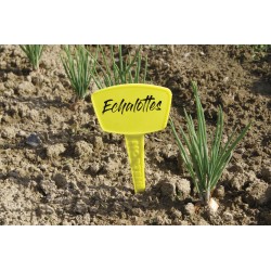 ÉTIQUETTES A PLANTER 35CM...