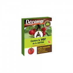 VER DE LA CERISE - DECAMP'