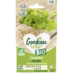 CORIANDRE CULTIVÉE BIO -...