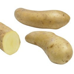 SAC 3KG POMME DE TERRE...