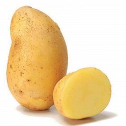 SAC 3KG POMME DE TERRE...