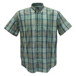 CHEMISETTE FURIO VERT