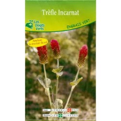 TREFLE INCARNAT HATIF 100G...
