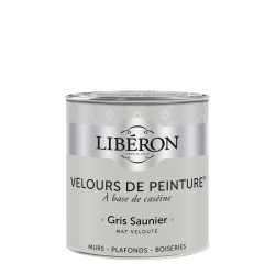 VELOURS DE PEINTURE GRIS...