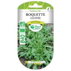 ROQUETTE CULTIVÉE BIO -...