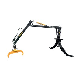 GRUE FORESTIERE 670 - MARY...