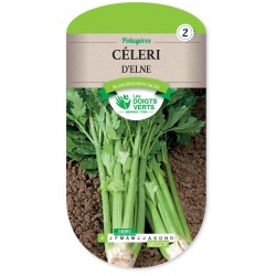 CELERI D ELNE cat2