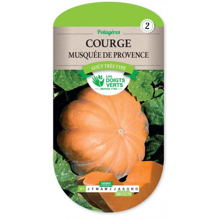 COURGE MUSQUEE DE PROVENCE cat2 COURGE MUSQUEE DE PROVENCE cat2