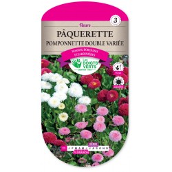 PAQUERETTE POMPONNETTE DOUBLE VARIEE CAT 3