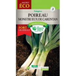 POIREAU MONSTRUEUX DE CARENTAN CAT3