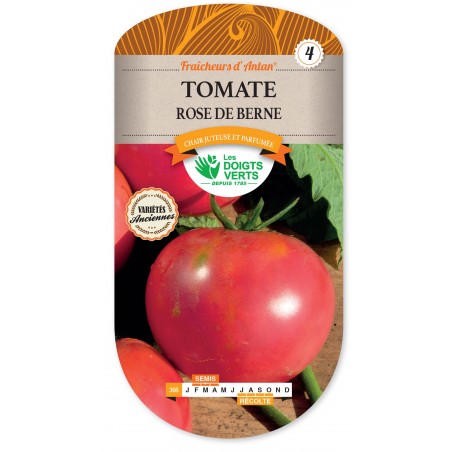 TOMATE ROSE DE BERNE CAT4 TOMATE ROSE DE BERNE CAT4