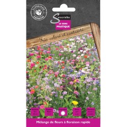MELANGE DE FLEURS A FLORAISON RAPIDE cat2