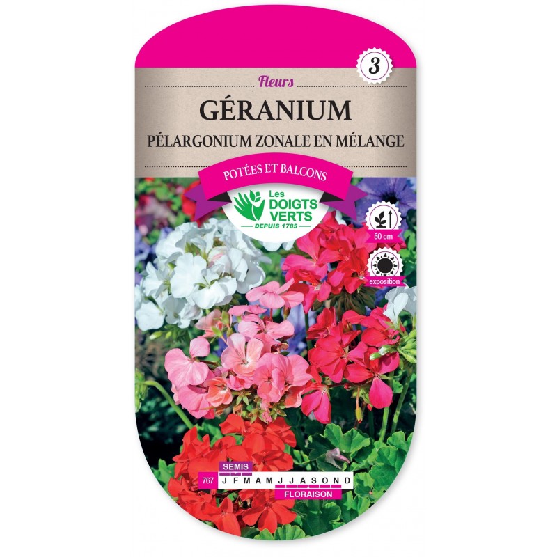 GERANIUM PELARGONIUM ZONALE EN MELANGE cat3