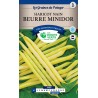 HARICOT NAIN BEURRE MINIDOR cat3