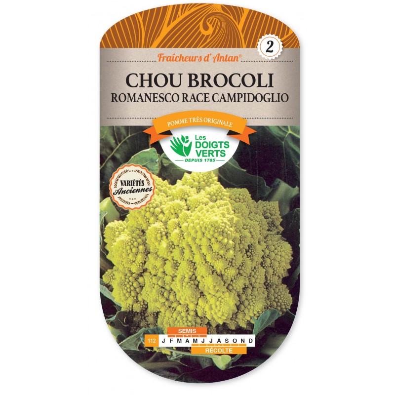 CHOU BROC ROMANESCO R CAMPIDOG ANTAN cat2