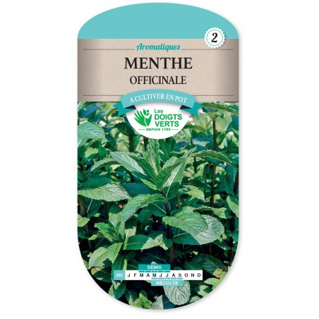 MENTHE OFFICINALE cat2 MENTHE OFFICINALE cat2