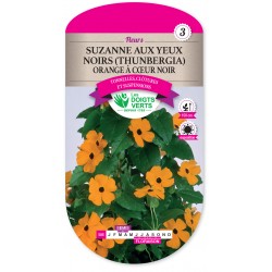 SUZANNE AUX YEUX NOIRS...