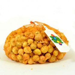 OIGNONS JAUNES DE SEMENCE...