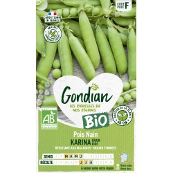 POIS KARINA BIO - GONDIAN