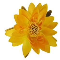 NÉNUPHAR DE DÉCORATION -...