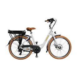 VÉLO ÉLECTRIQUE VILLE MIAMI...