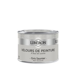 VELOURS DE PEINTURE GRIS...
