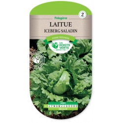 LAITUE ICEBERG SALADIN
