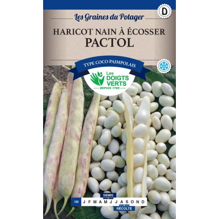 HARICOT NAIN PACTOL 250 GR CATD