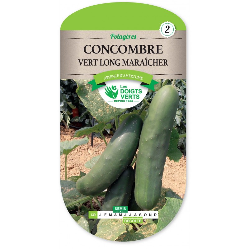 CONCOMBRE VERT LONG MARAÎCHER cat2