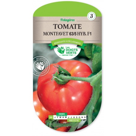 TOMATE MONTFAVET 63/5 HYBRIDE F1 cat3