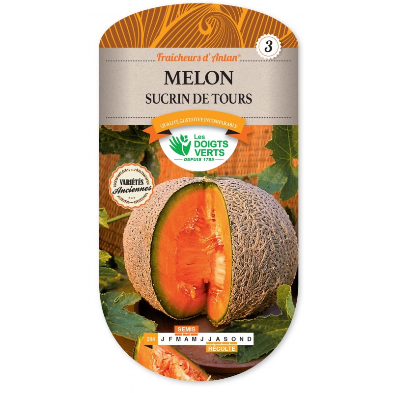 MELON SUCRIN DE TOURS CAT3