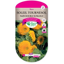 SOLEIL TOURNESOL NAIN DOUBLE SUNGOLD