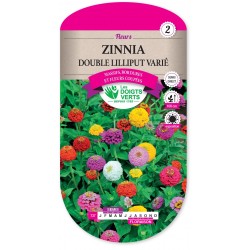 ZINNIA DOUBLE LILLIPUT VARIÉ cat2