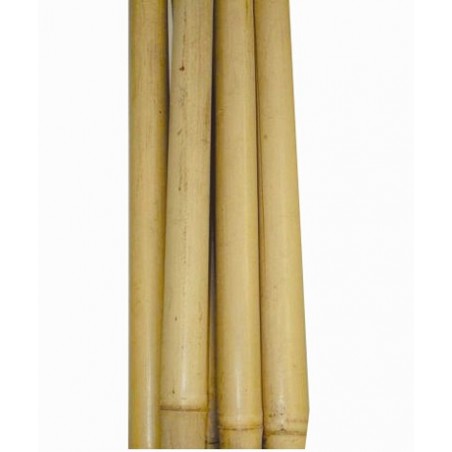 TUTEUR BAMBOU NATUREL TUTEUR BAMBOU NATUREL