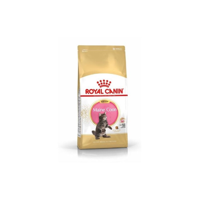 CROQUETTES CHAT KITTEN MAINE COON 2KG ROYAL CANIN Rural Master CAUSSADE